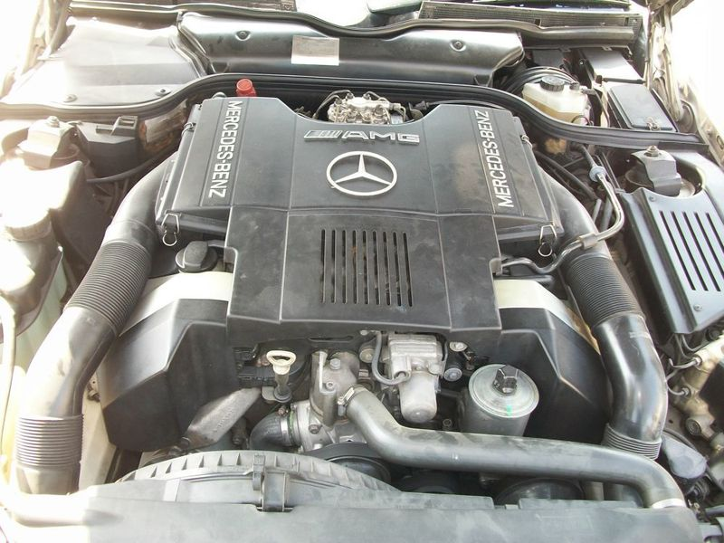 Illustration for article titled DD/Track/Burn Rare Rapid Roadsters Edition